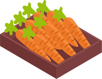 Carrot Supermarket Pack